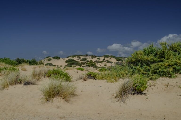 Sardaigne sentiers-cotiers-et-sommets-rando-itinerante-en-sardaigne travel